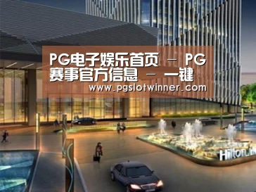 案例展示二