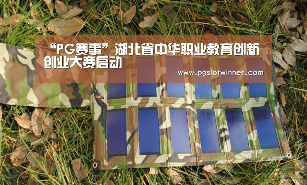 “PG赛事”湖北省中华职业教育创新创业大赛启动(图1) PG娱乐