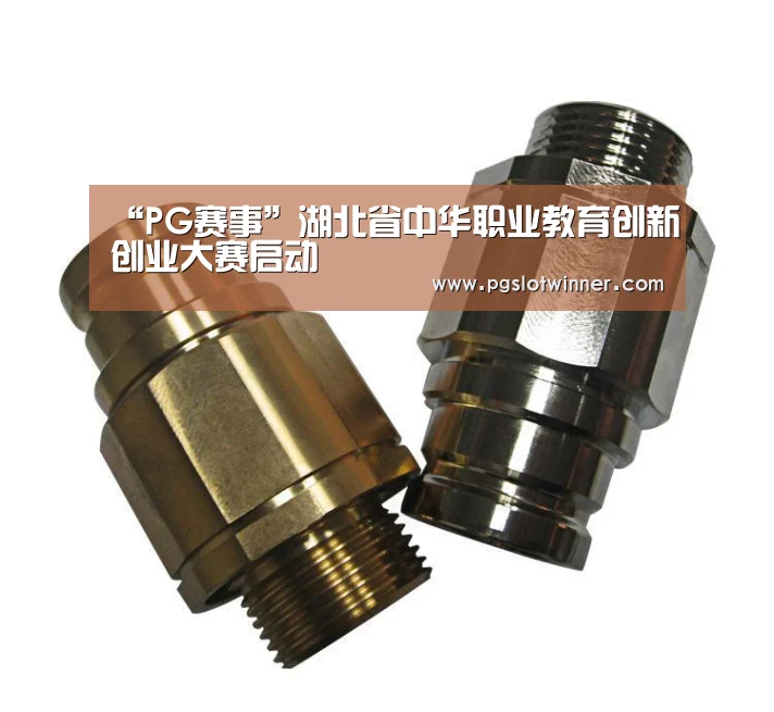 “PG赛事”湖北省中华职业教育创新创业大赛启动(图4) PG赛事