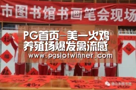 PG首页