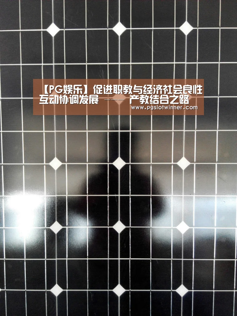 【PG娱乐】促进职教与经济社会良性互动协调发展 --- 产教结合之路越走越宽(图3) PG首页