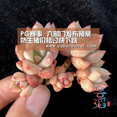 PG赛事-六部门发布预案防生猪价格过快下跌(图2) PG娱乐