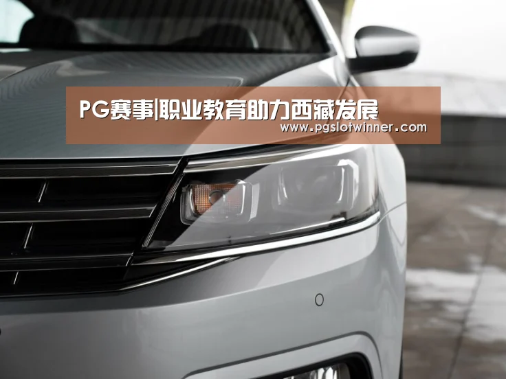 PG赛事|职业教育助力西藏发展(图1) PG娱乐