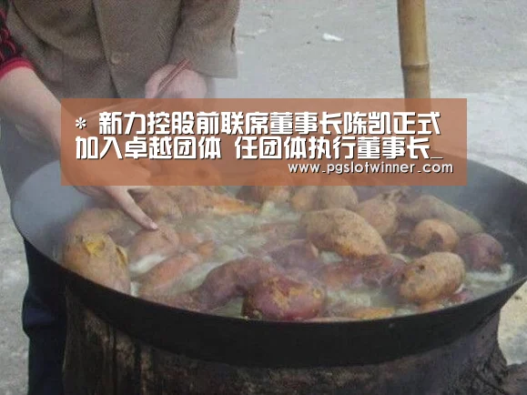 *
新力控股前联席董事长陈凯正式加入卓越团体 任团体执行董事长_PG首页(图1) PG首页