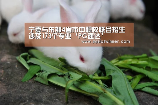 宁夏与东部4省市中职校联合招生涉及173个专业‘PG速达’(图2) PG首页