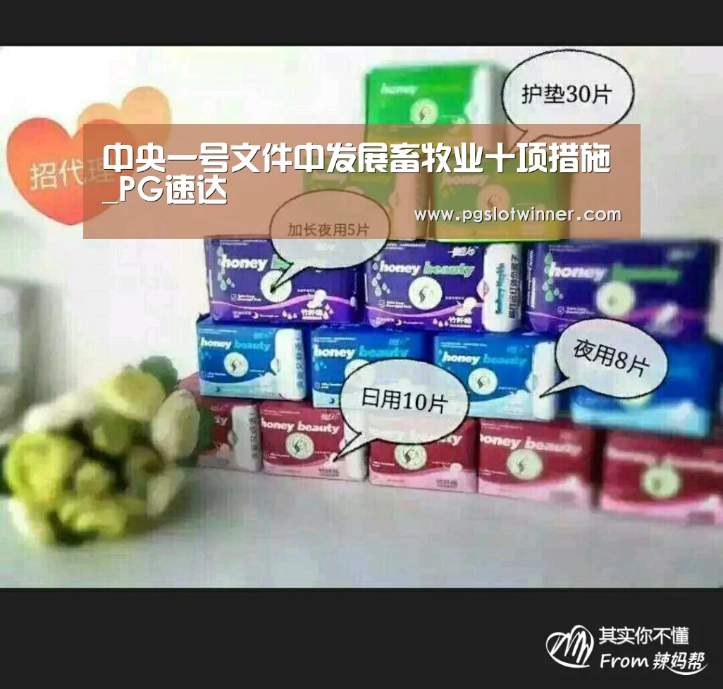 中央一号文件中发展畜牧业十项措施_PG速达(图1) PG赛事