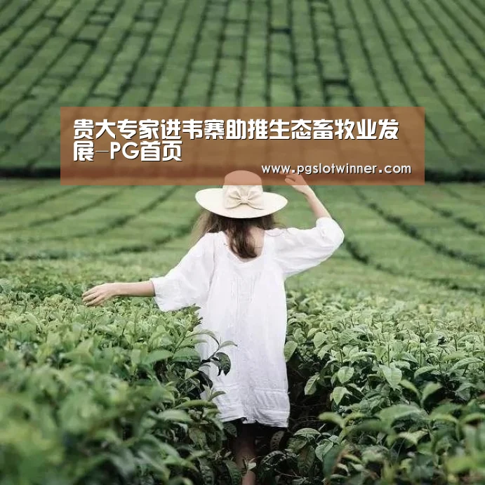 贵大专家进韦寨助推生态畜牧业发展-PG首页(图1) PG娱乐