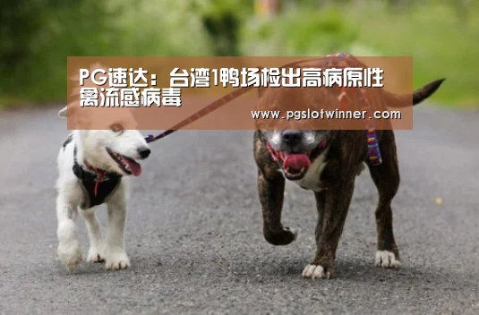 PG速达:台湾1鸭场检出高病原性禽流感病毒(图1) PG速达