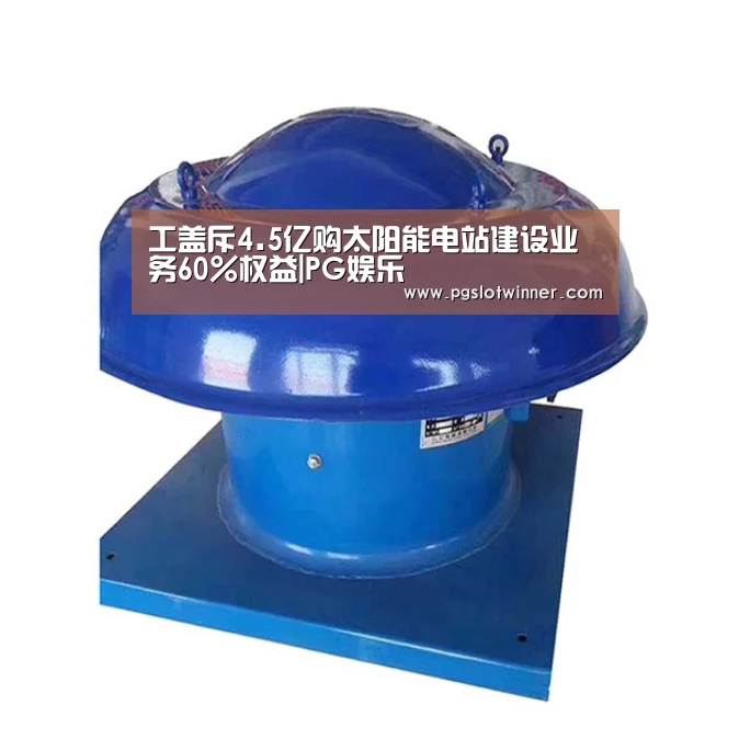 工盖斥4.5亿购太阳能电站建设业务60%权益|PG娱乐(图4) PG速达