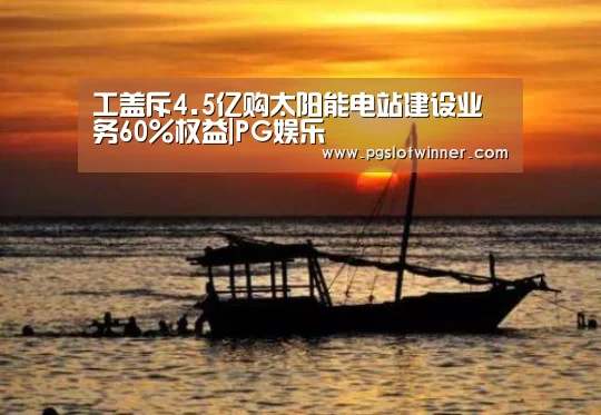 工盖斥4.5亿购太阳能电站建设业务60%权益|PG娱乐(图2) PG速达