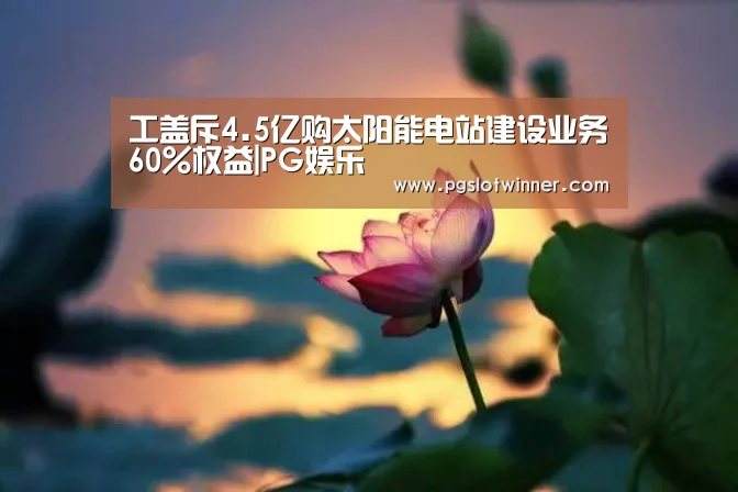 工盖斥4.5亿购太阳能电站建设业务60%权益|PG娱乐(图3) PG赛事