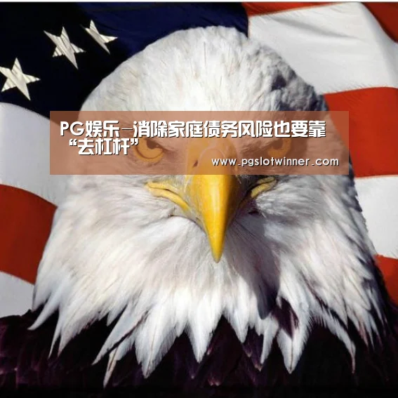 PG娱乐-消除家庭债务风险也要靠“去杠杆”(图1) PG首页