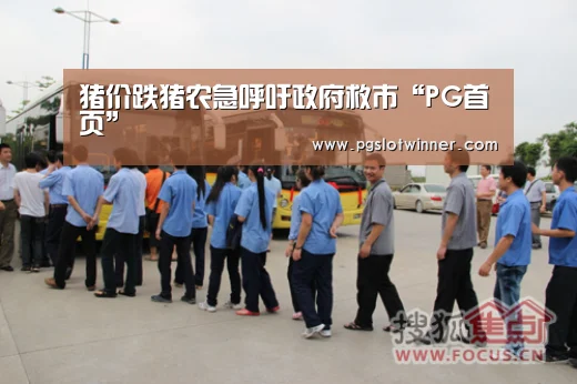 猪价跌猪农急呼吁政府救市“PG首页”(图1) PG娱乐