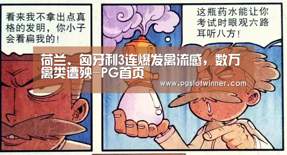 荷兰、匈牙利3连爆发禽流感,数万禽类遭殃-PG首页(图2) PG速达