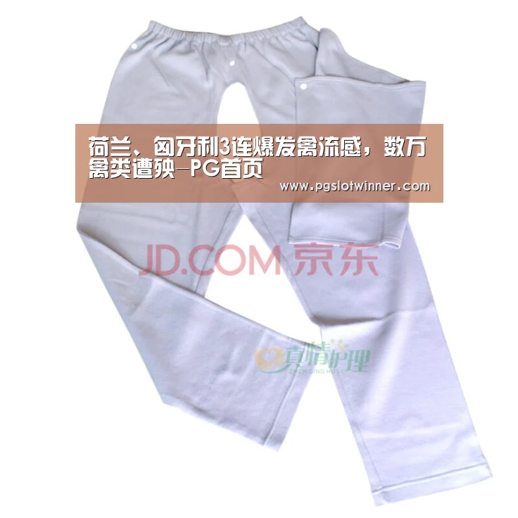 荷兰、匈牙利3连爆发禽流感,数万禽类遭殃-PG首页(图1) PG赛事